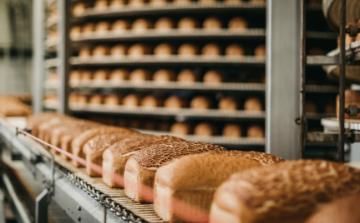 Food Processing